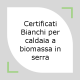 certificati bianchi per caldaia a biomassa