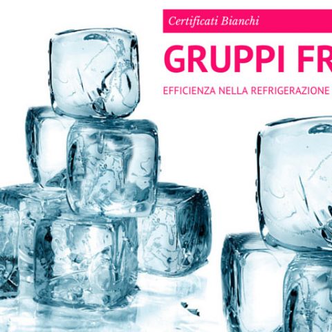 certificati bianchi gruppi frigo