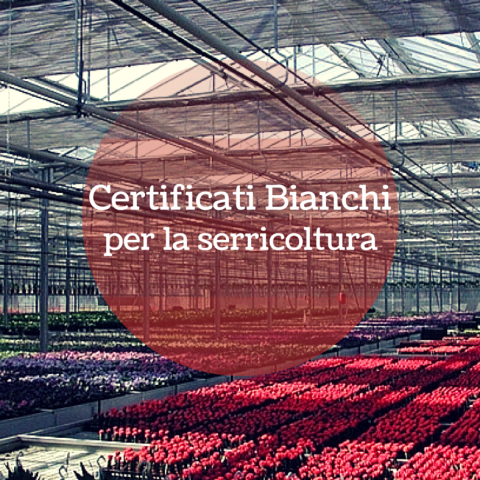 certificati bianchi per serricoltura