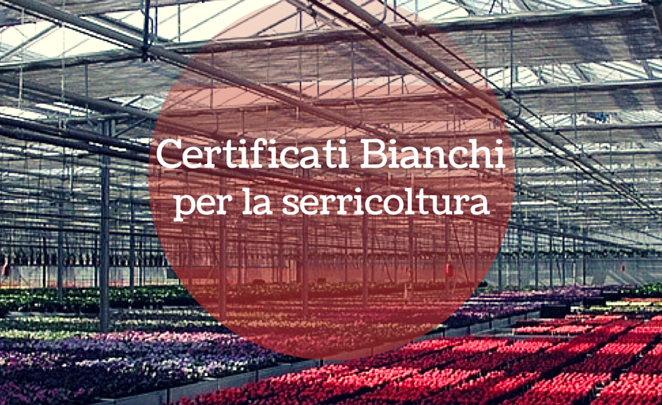 certificati bianchi per serricoltura