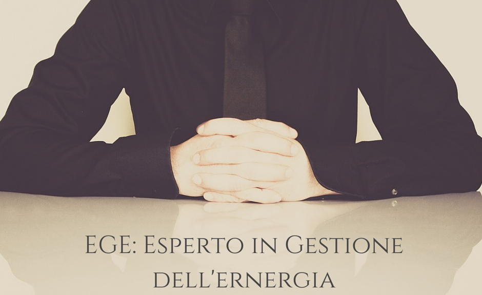 esperto in gestione dell'energia