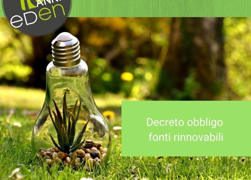 lampadina-su-prato-con-piantina
